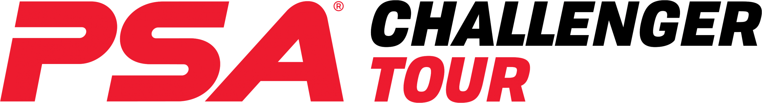 sponsor logo image